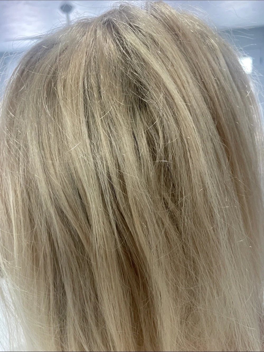 Light Blonde Women’s Long Wig - Neutral Style